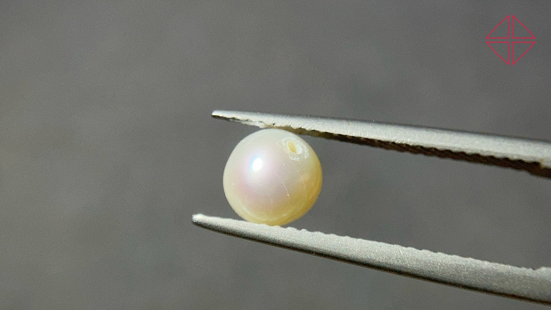 Freshwater Pearl 淡水無核養殖珍珠